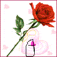 rose